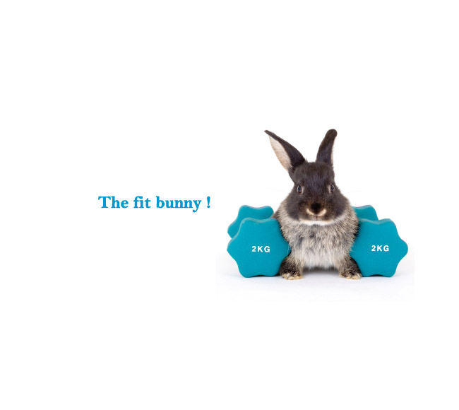 The fit bunny